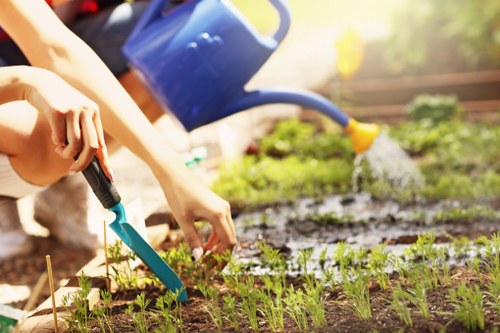 Residential landscaping project in Sudbury with tidy planting and lawn areas