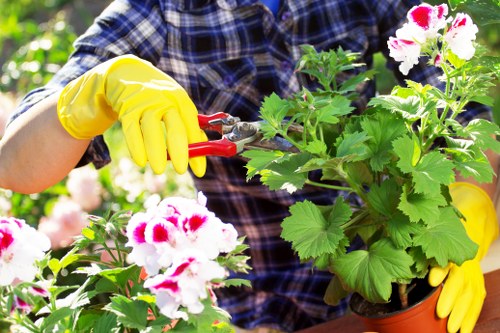 Local lawn care service for a residential garden in Sudbury
