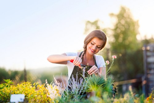 Landscape design and planting in Sudbury with seasonal outdoor curb appeal