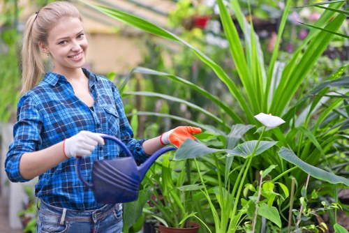 Landscape gardeners working on a Sudbury garden redesign