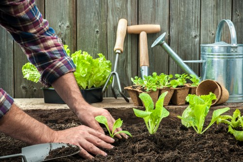 Cookie policy introduction for Landscapers Sudbury website