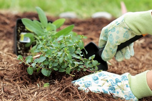 Risk management and due diligence in landscaping operations