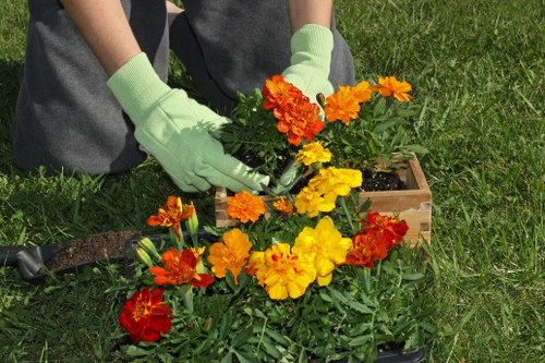 Regular hedge cutting and garden upkeep for a property in Sudbury