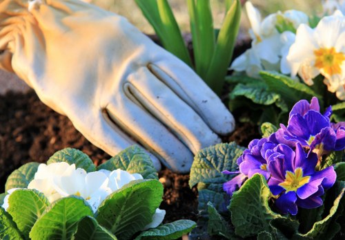 Commercial property flower bed installation with tidy planting and mulch