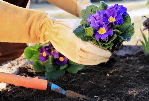 Site inspection during a landscaping complaint investigation