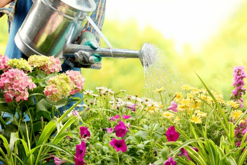 Commercial hedge trimming and site maintenance in Sudbury