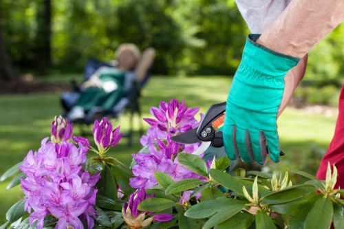 Residential garden grass cutting service in Sudbury