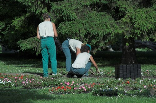 Seasonal garden tidy-up and leaf clearance in Sudbury