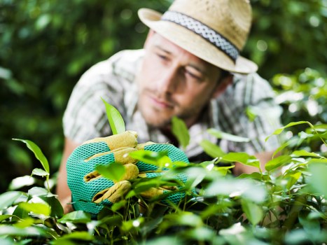 Seasonal landscaping in Sudbury highlighting year-round property appeal