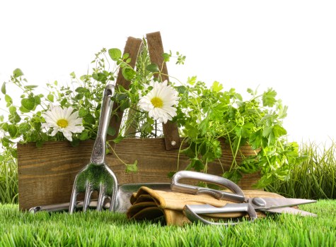 Garden clearance cost example for a Sudbury property