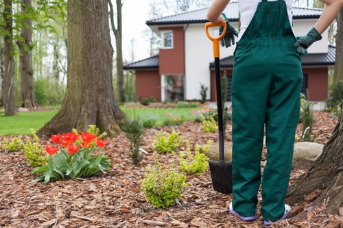 Local team carrying out planting work in a Sudbury garden bed