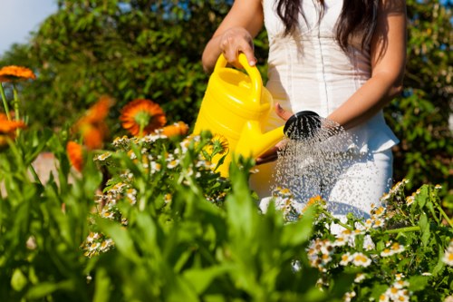Seasonal lawn maintenance and tidy-up service in Sudbury