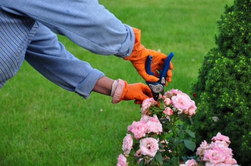 Accessibility support request section for local landscaping users